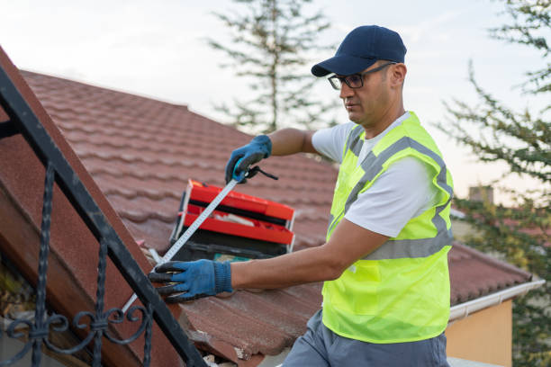 Best Wall Insulation Installation  in Timnath, CO